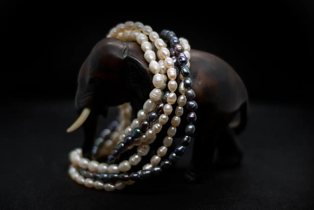 pearl, nature, necklace, decorations, chaplet, fashion, elephant, animal